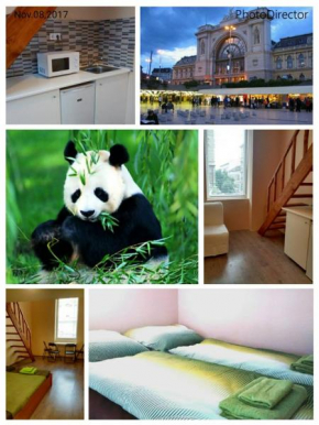 Green Panda Apartments